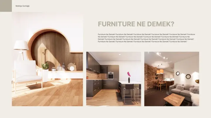 Furniture Ne Demek?