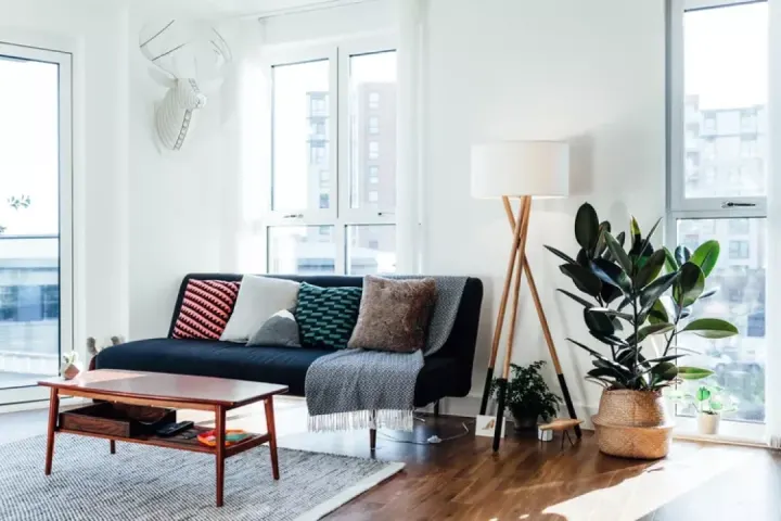 Evinizde Kullanabileceğiniz En İyi 10 Feng Shui Bitkisi